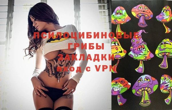 амфетамин Гусев
