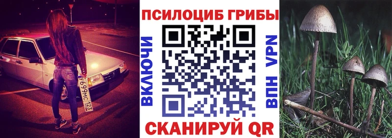 Галлюциногенные грибы ЛСД  Купить где  Оханск 